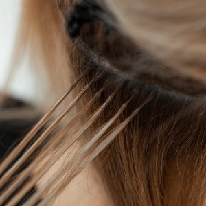 8T1A6951 en tamaño grande